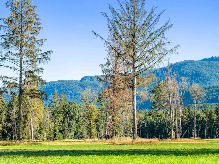 Lot-1 Wavell Road, Fanny Bay, BC, V0R 1W0 - 8