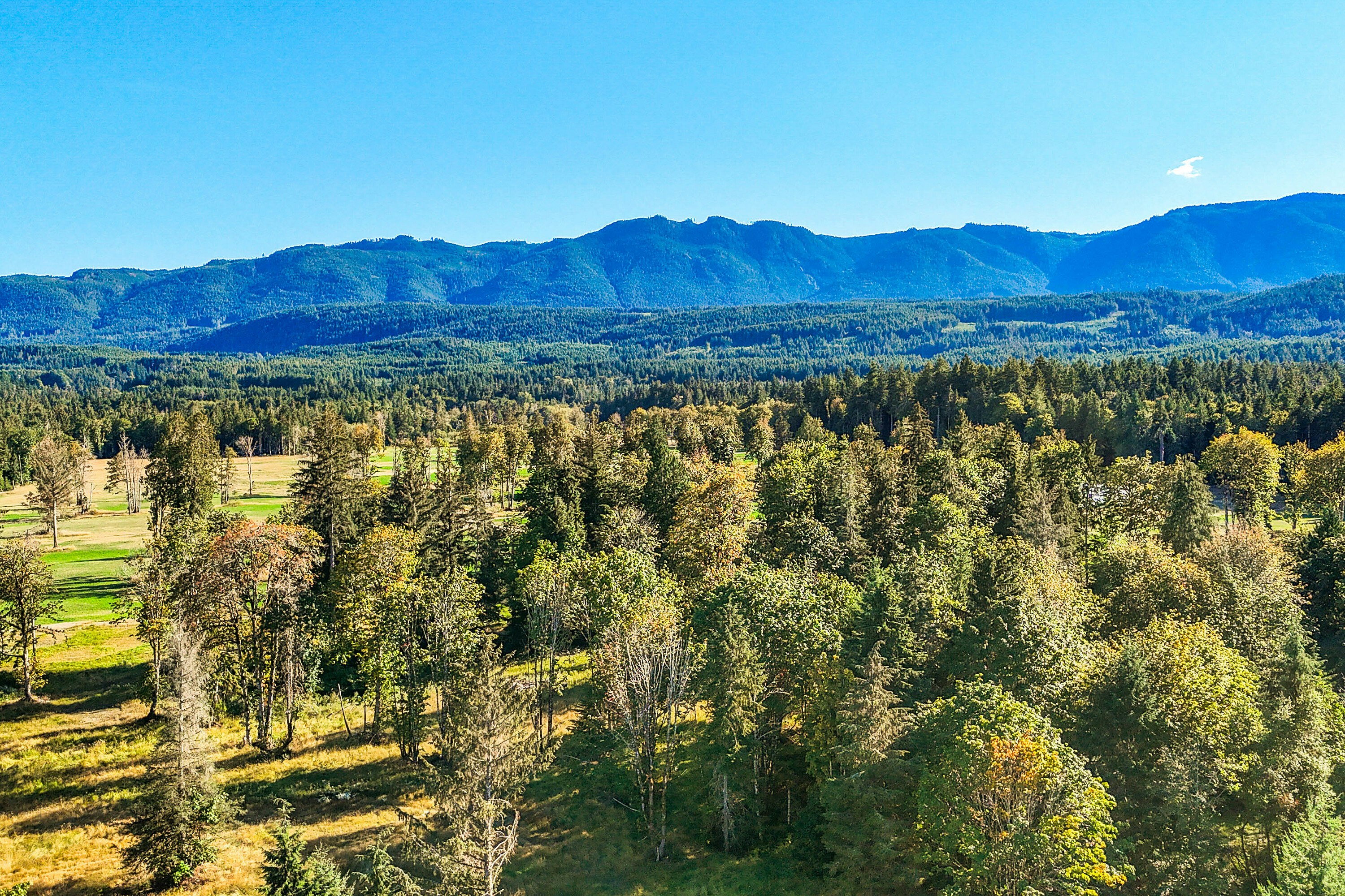 Lot-1 Wavell Road, Fanny Bay, BC, V0R 1W0 - 33