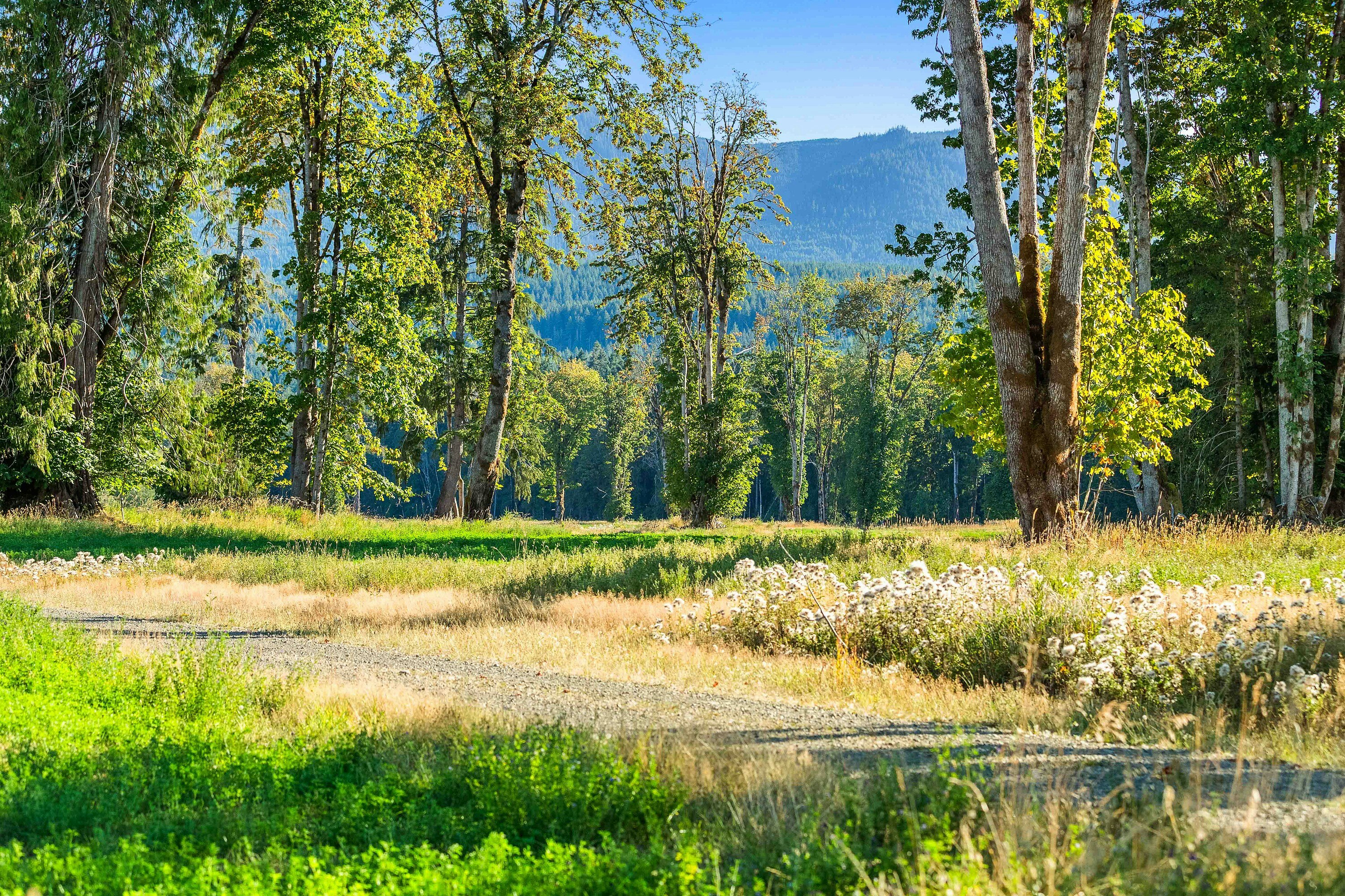 Lot-1 Wavell Road, Fanny Bay, BC, V0R 1W0 - 22