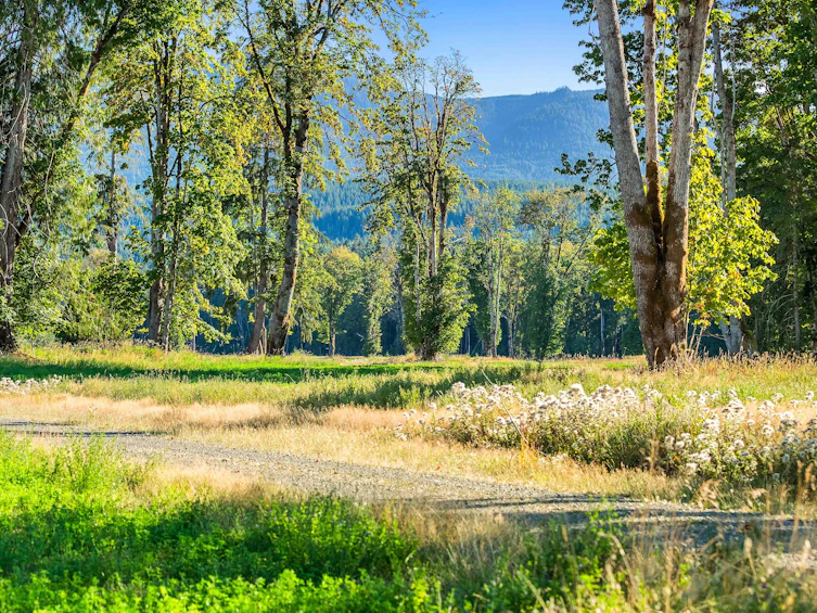 Lot-1 Wavell Road, Fanny Bay, BC, V0R 1W0 - 22