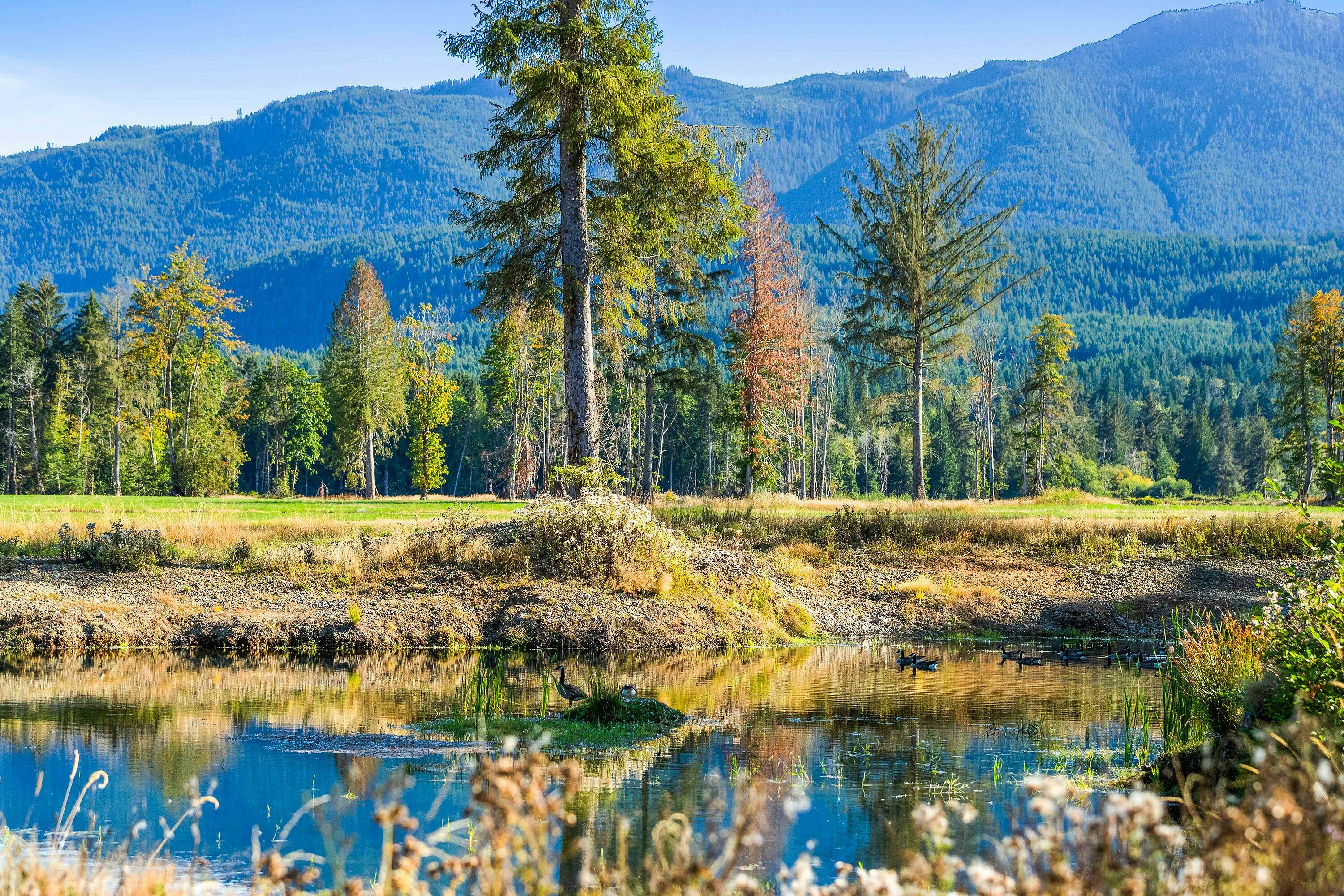 Lot-1 Wavell Road, Fanny Bay, BC, V0R 1W0 - 11