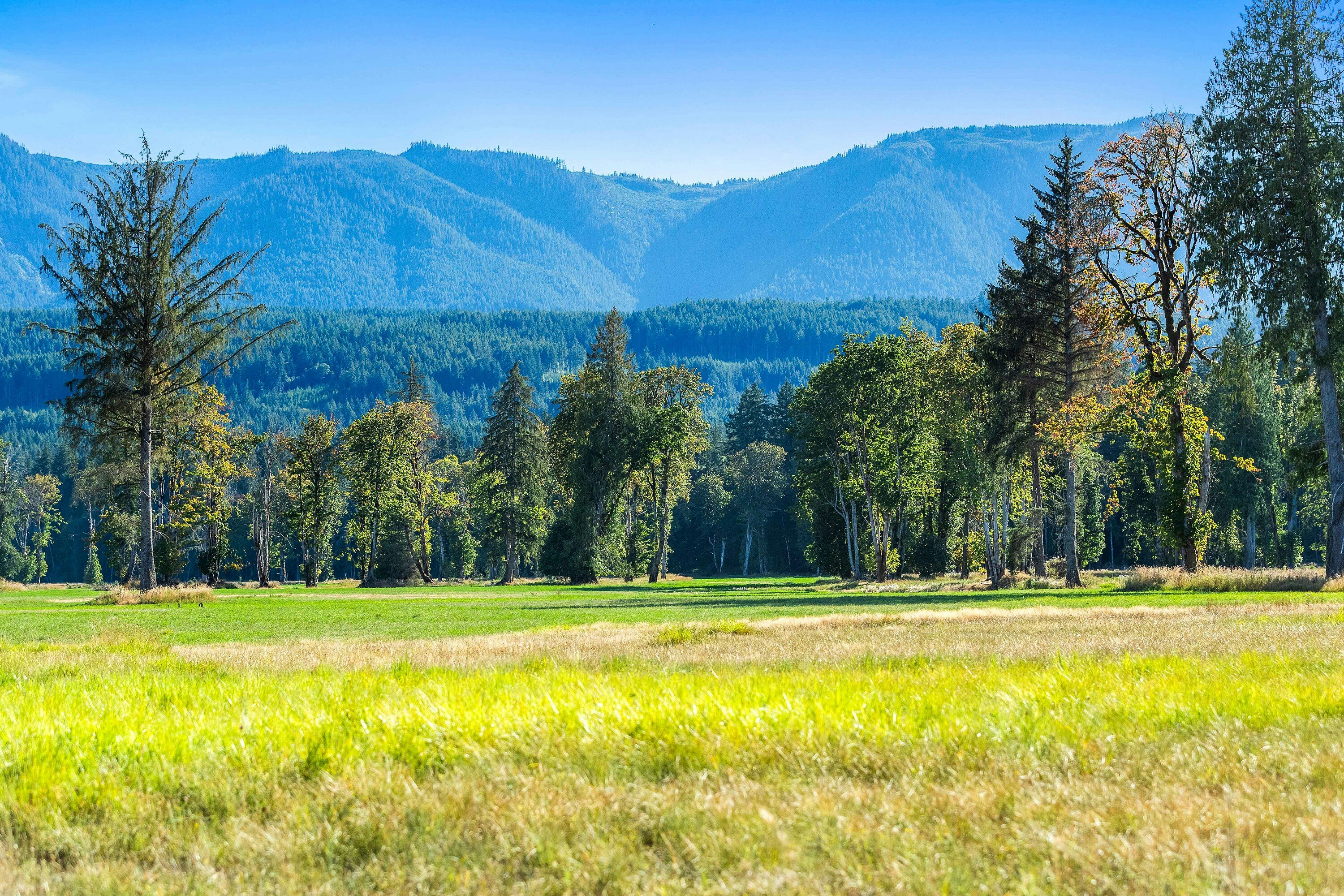 Lot-1 Wavell Road, Fanny Bay, BC, V0R 1W0 - 9