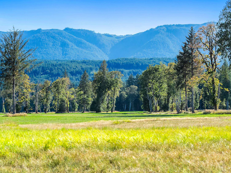 Lot-1 Wavell Road, Fanny Bay, BC, V0R 1W0 - 9