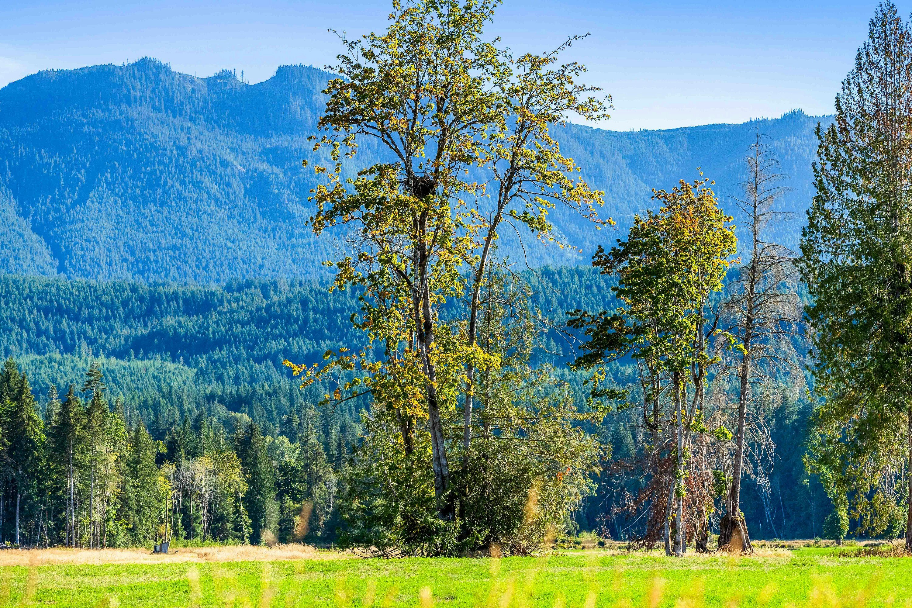 Lot-1 Wavell Road, Fanny Bay, BC, V0R 1W0 - 21