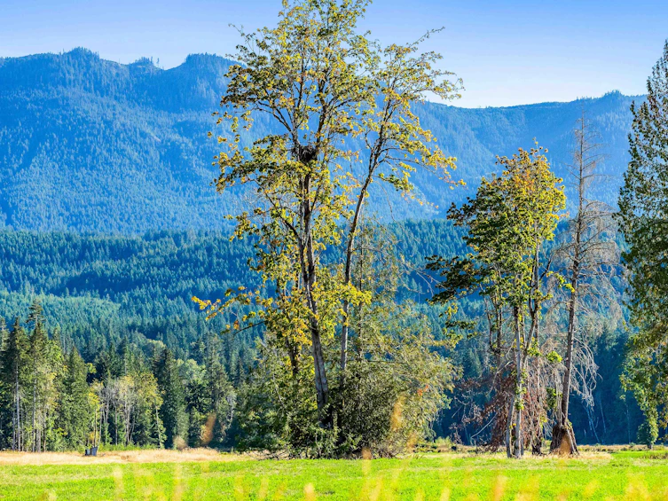 Lot-1 Wavell Road, Fanny Bay, BC, V0R 1W0 - 21