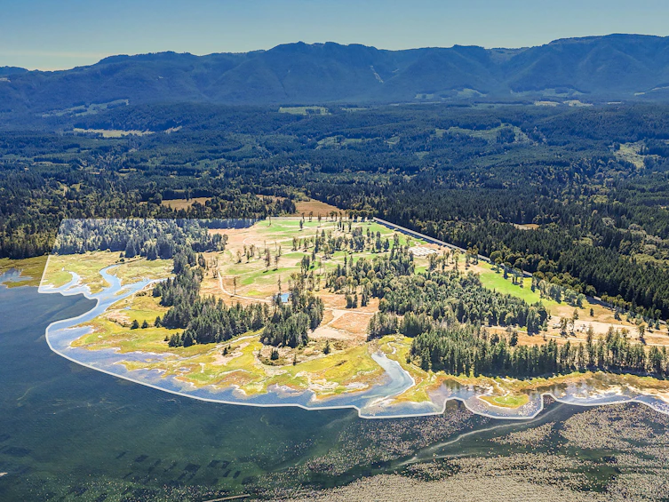 Lot-1 Wavell Road, Fanny Bay, BC, V0R 1W0 - 2