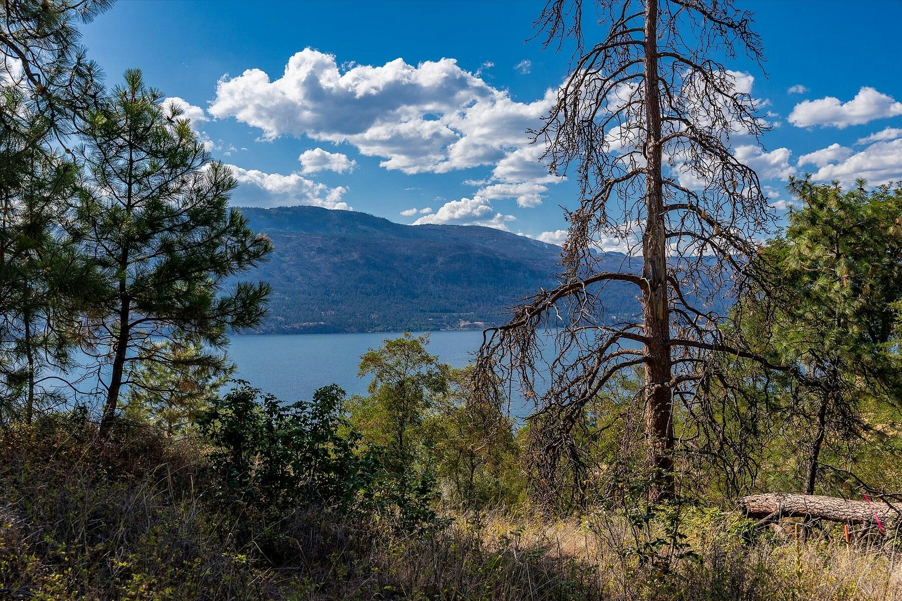 Lot-102 W Okanagan Centre Road, Lake Country, BC, V4V 1G5 - 10