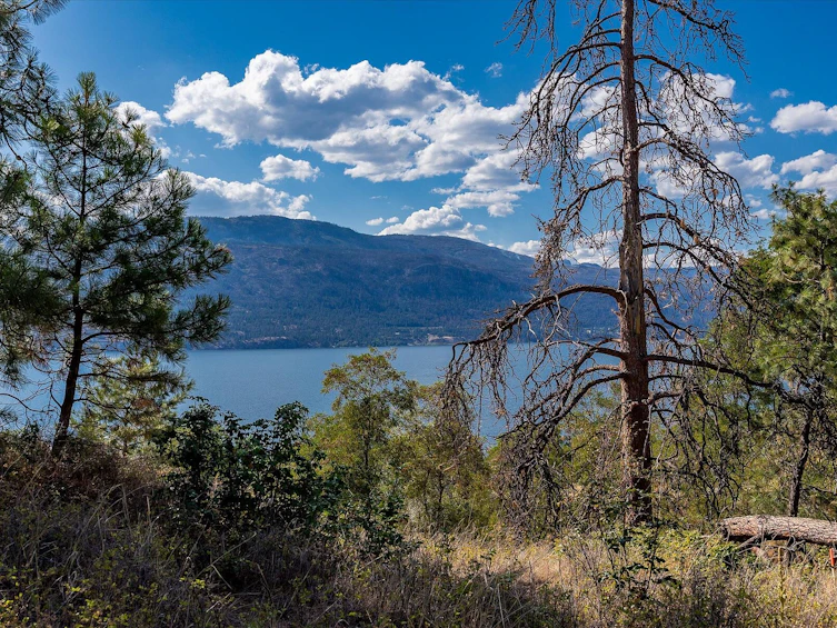 Lot-102 W Okanagan Centre Road, Lake Country, BC, V4V 1G5 - 10