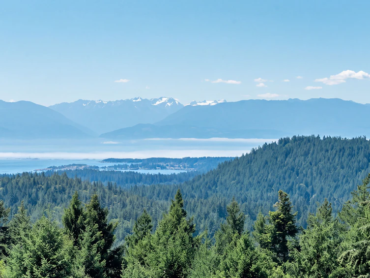 867 Walfred Road, Langford, BC, V9C 2P1 - 3