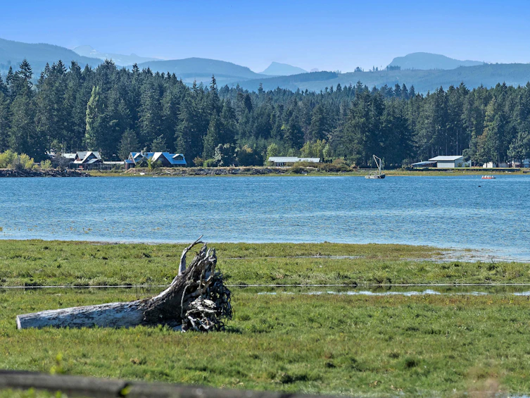 340 Berray Road, Fanny Bay, BC, V0R 1W0 - 8