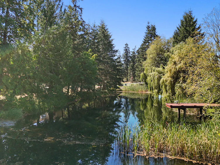 340 Berray Road, Fanny Bay, BC, V0R 1W0 - 6