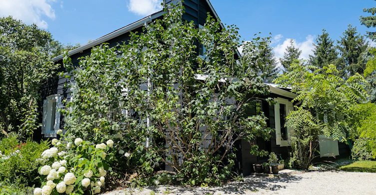 119 Matilda Street, Blue Mountains, ON, N0H 1J0 - 3