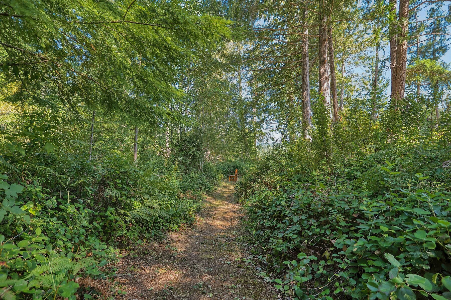 9326 Jorgensen Place, Halfmoon Bay, BC, V7Z 1B4 - 34