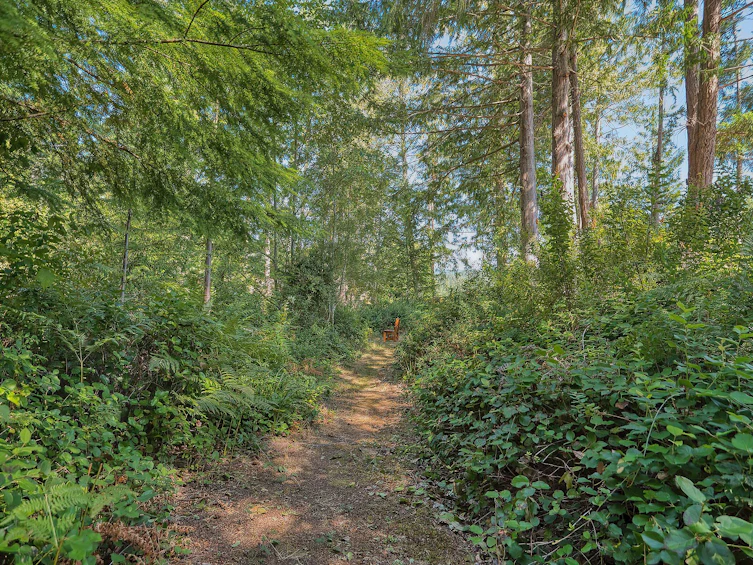 9326 Jorgensen Place, Halfmoon Bay, BC, V7Z 1B4 - 34