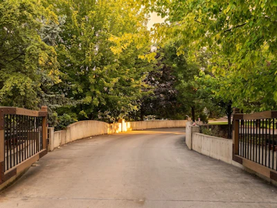 12407 Coldstream Creek Road - 5