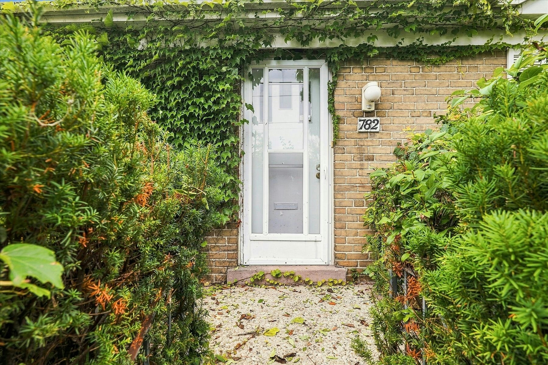 782 Marlee Avenue, Toronto, ON, M6B 3J9 - 23