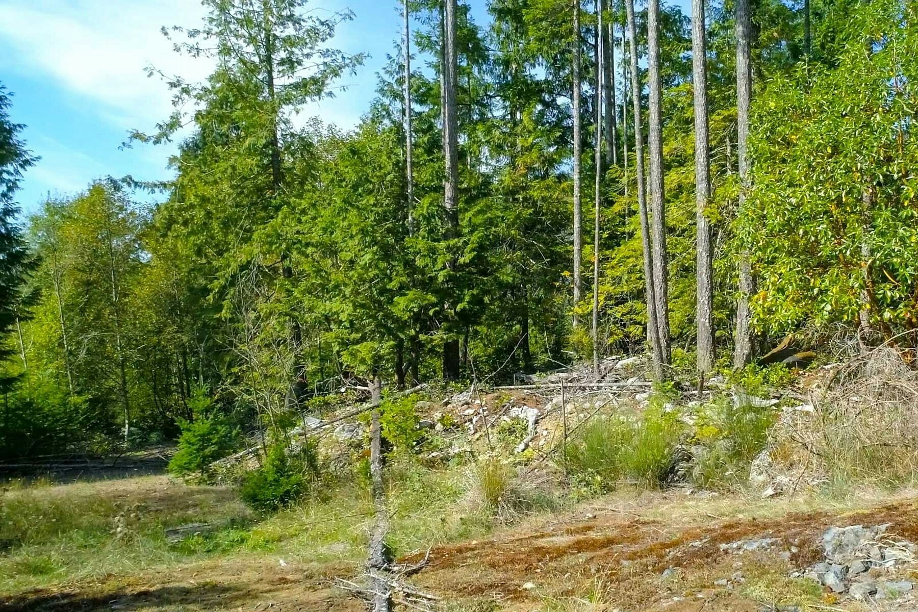 Lot-23 Sakinaw Drive, Pender Harbour Egmont, BC, V0N 1S1 - 10