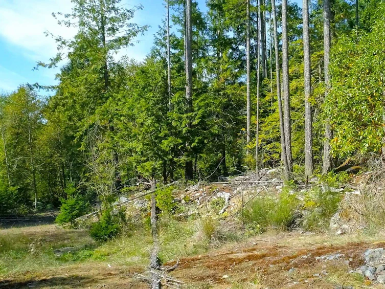 Lot-23 Sakinaw Drive, Pender Harbour Egmont, BC, V0N 1S1 - 10