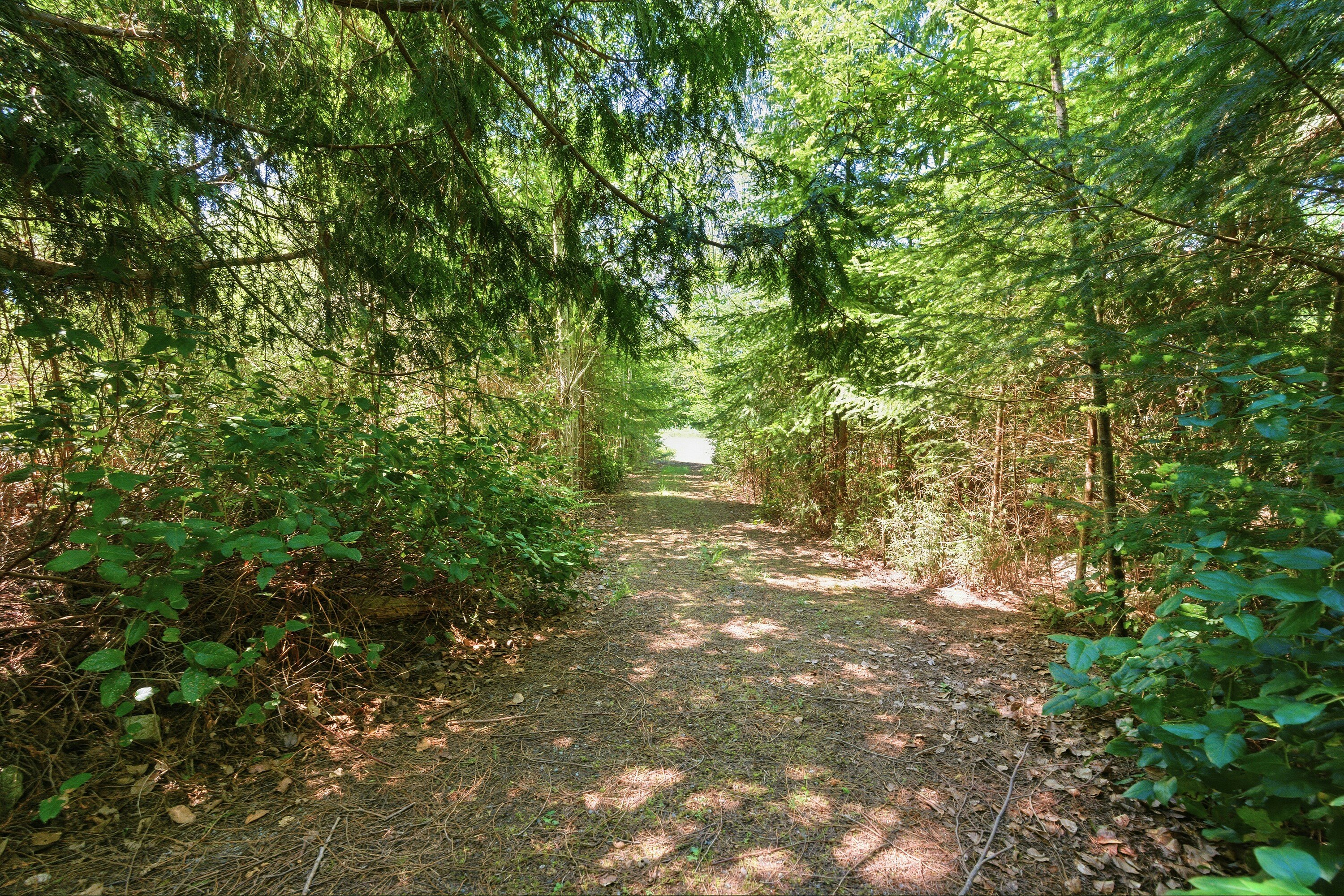 Lot-23 Sakinaw Drive, Pender Harbour Egmont, BC, V0N 1S1 - 13