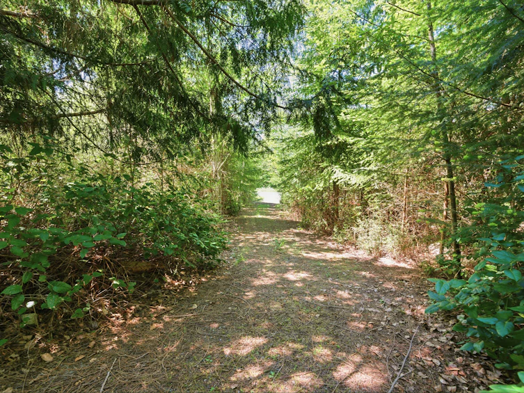 Lot-23 Sakinaw Drive, Pender Harbour Egmont, BC, V0N 1S1 - 13