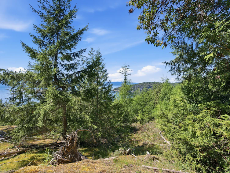 Lot-23 Sakinaw Drive, Pender Harbour Egmont, BC, V0N 1S1 - 6