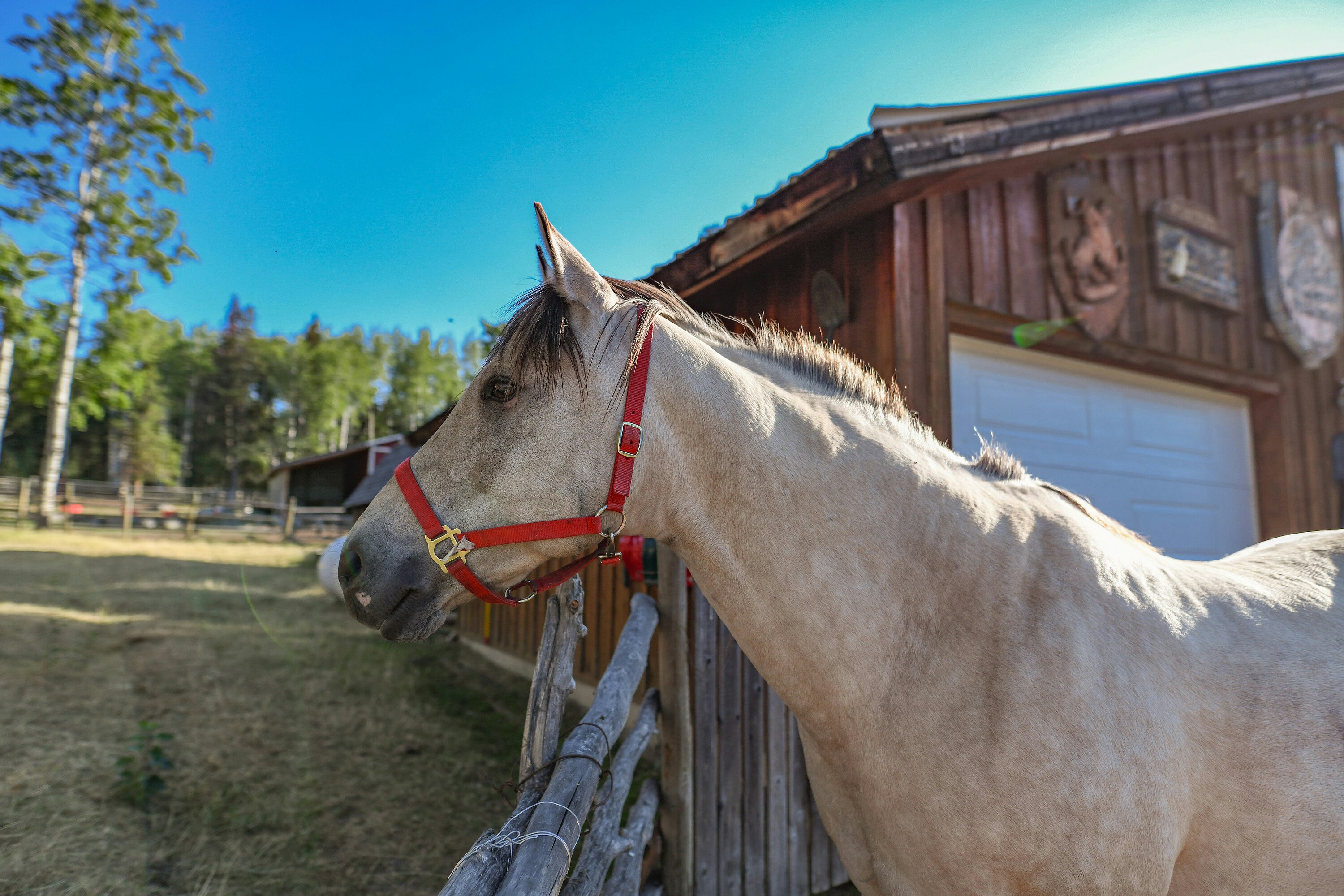 7915 Machete Lake Road, Bridge Lake, BC, V0K 1E0 - 27