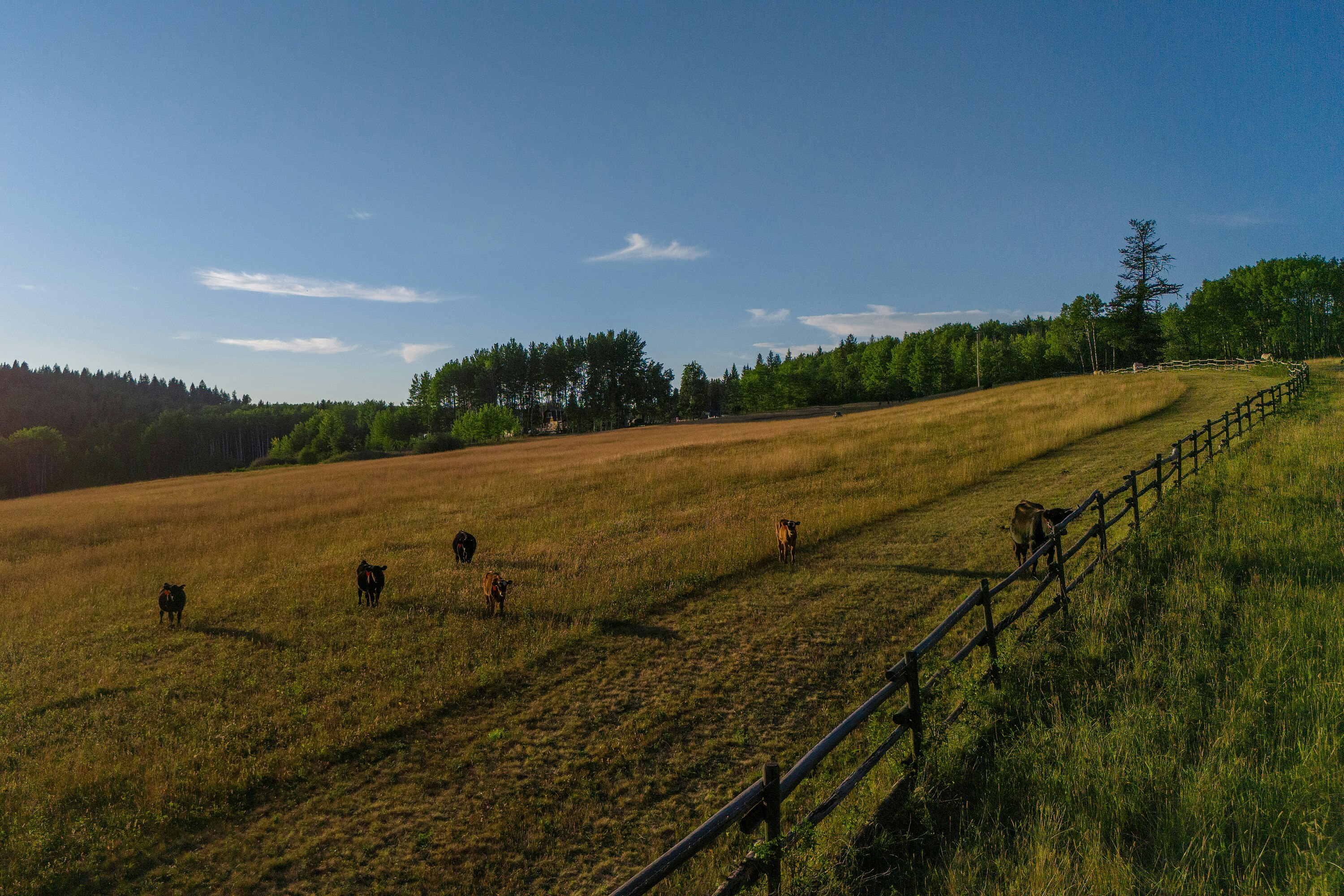 7915 Machete Lake Road - 5