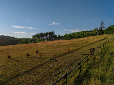 7915 Machete Lake Road - 5