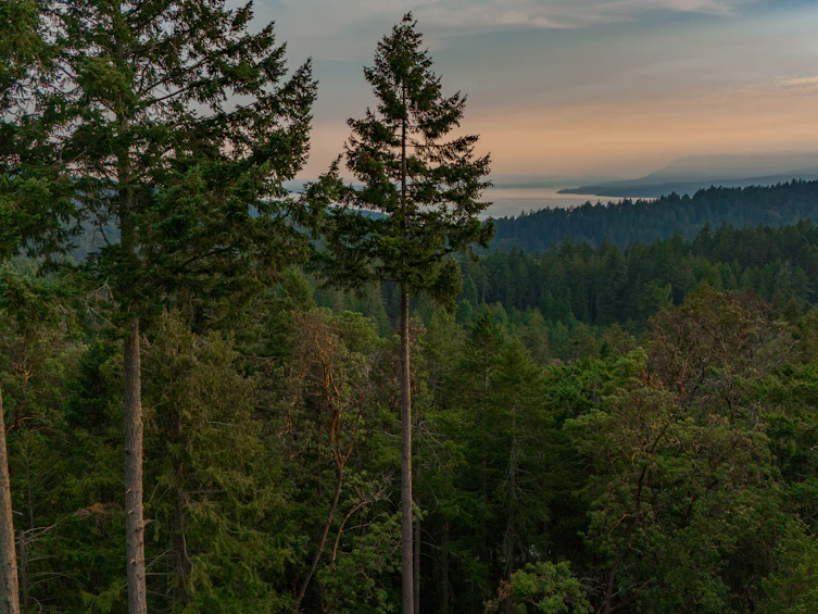 3326 Port Washington Road, Pender Island, BC, V0N 2M1 - 42