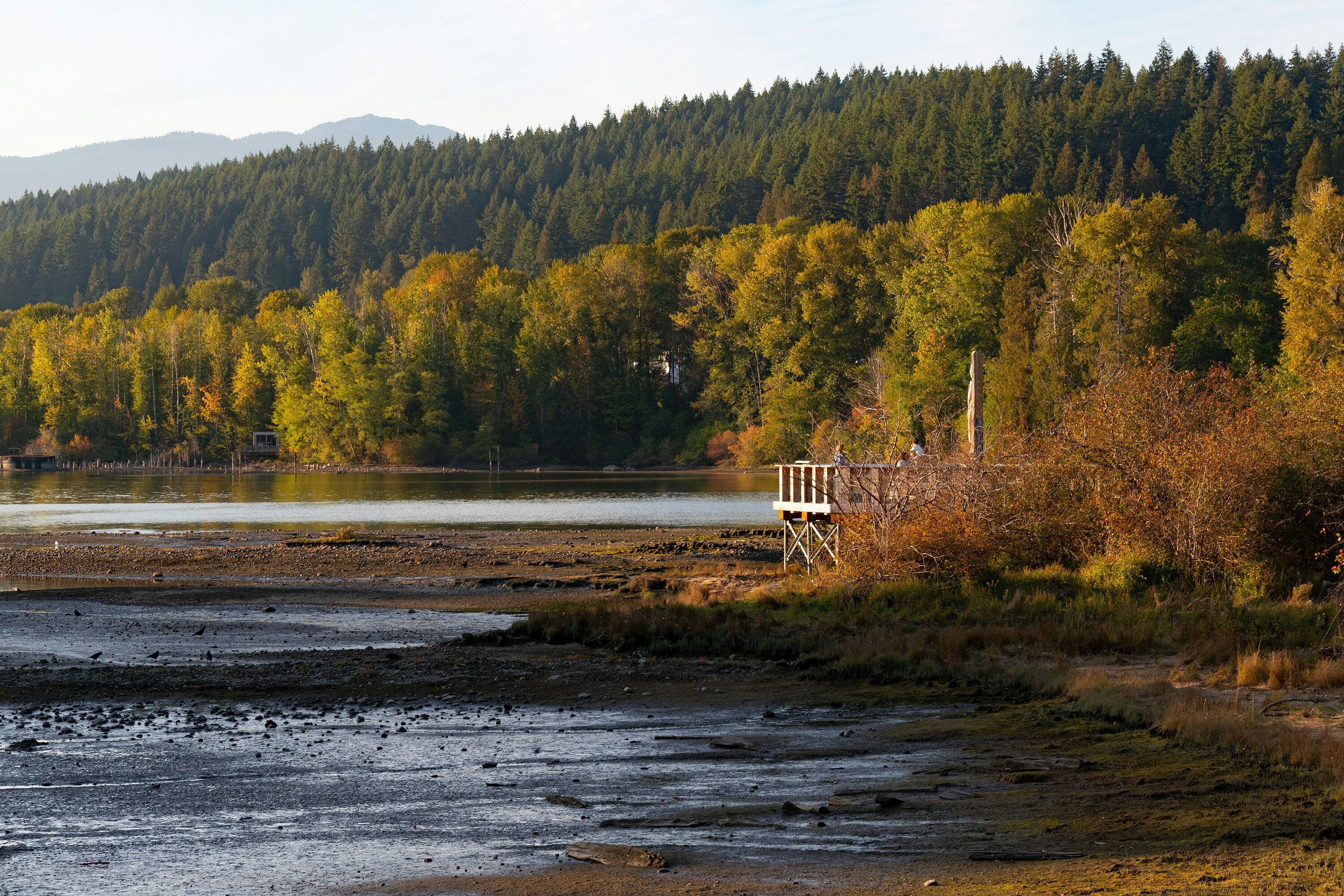 204-300 Klahanie Drive, Port Moody, BC, V3H 5K9 - 74