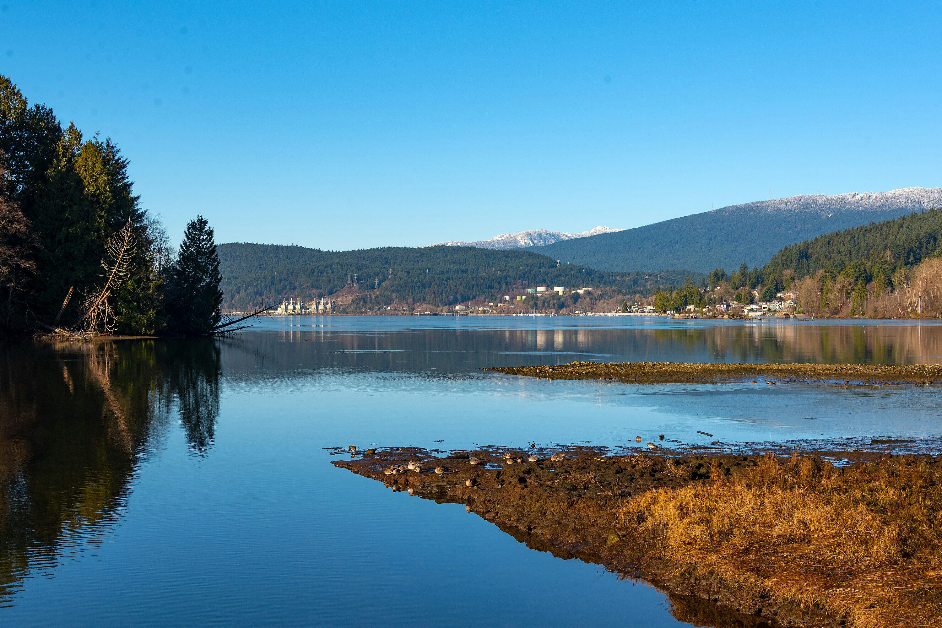 204-300 Klahanie Drive, Port Moody, BC, V3H 5K9 - 44