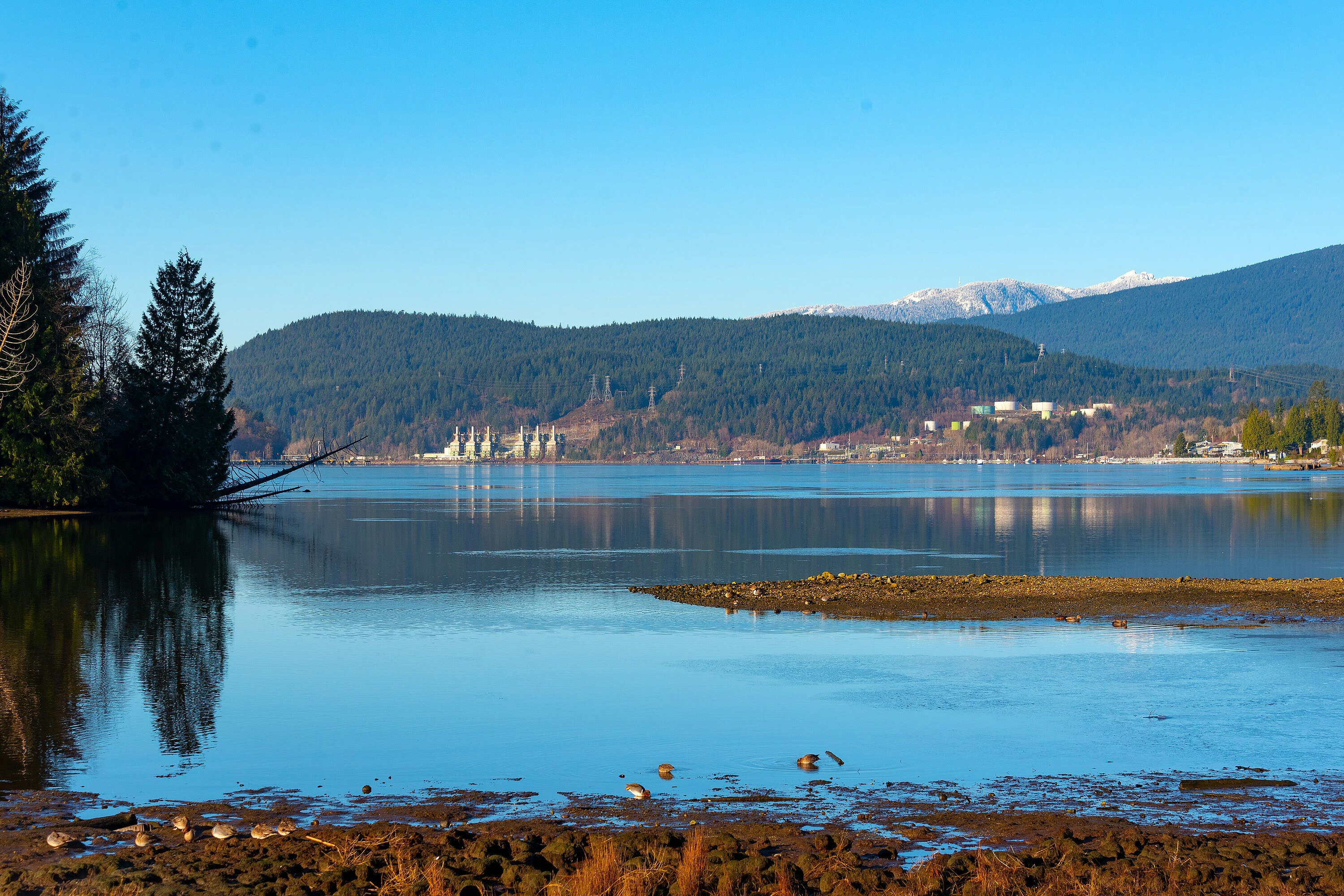 204-300 Klahanie Drive, Port Moody, BC, V3H 5K9 - 43