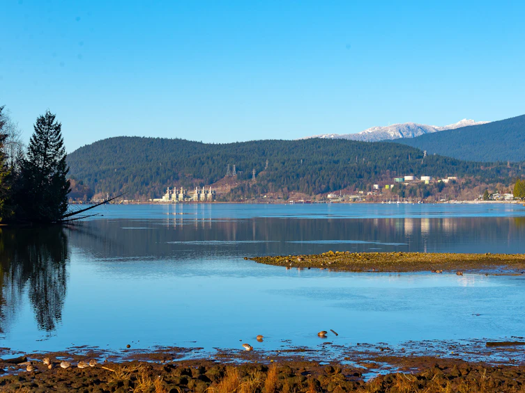 204-300 Klahanie Drive, Port Moody, BC, V3H 5K9 - 43