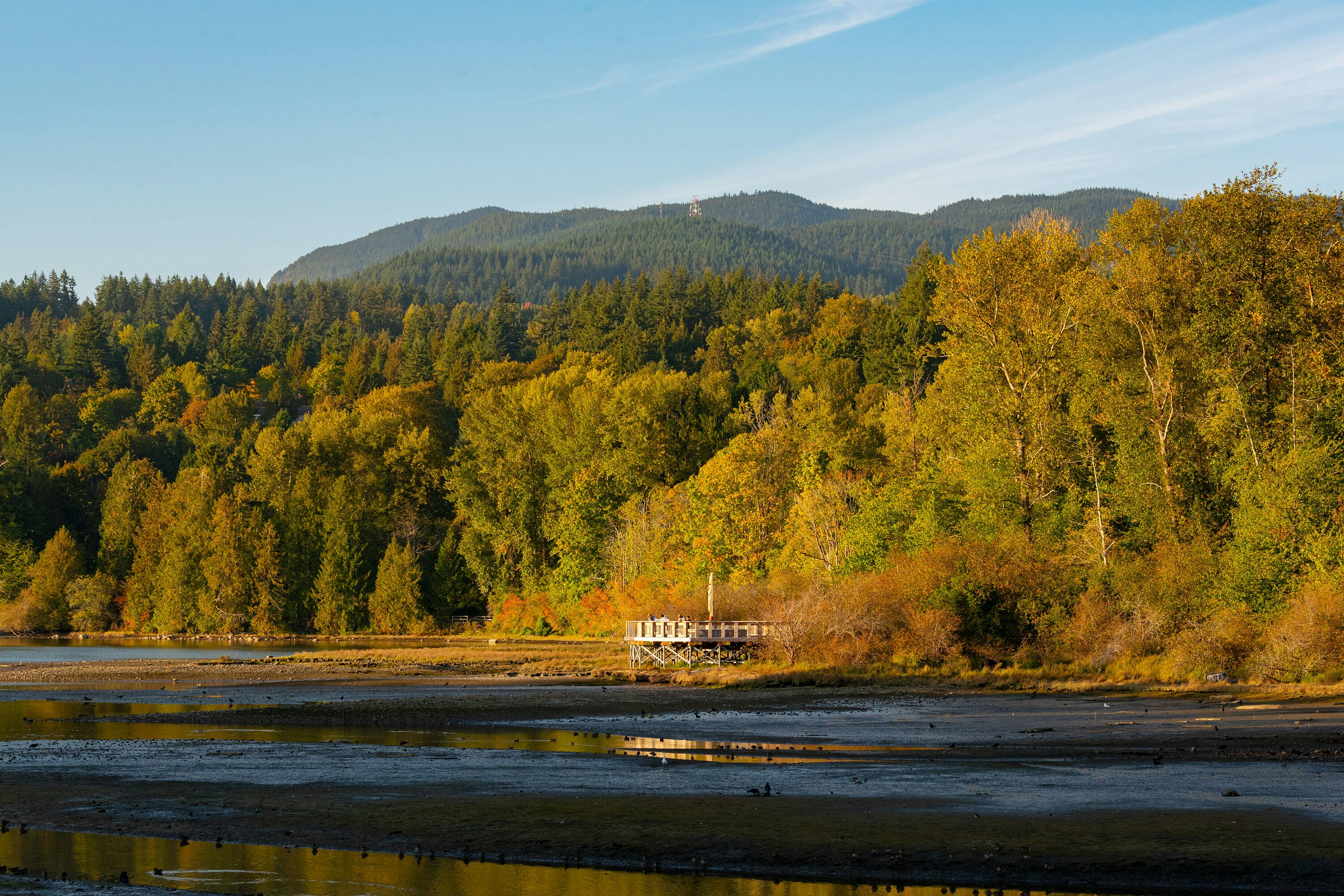 204-300 Klahanie Drive, Port Moody, BC, V3H 5K9 - 75