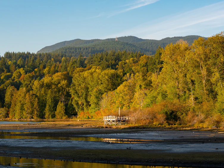 204-300 Klahanie Drive, Port Moody, BC, V3H 5K9 - 75