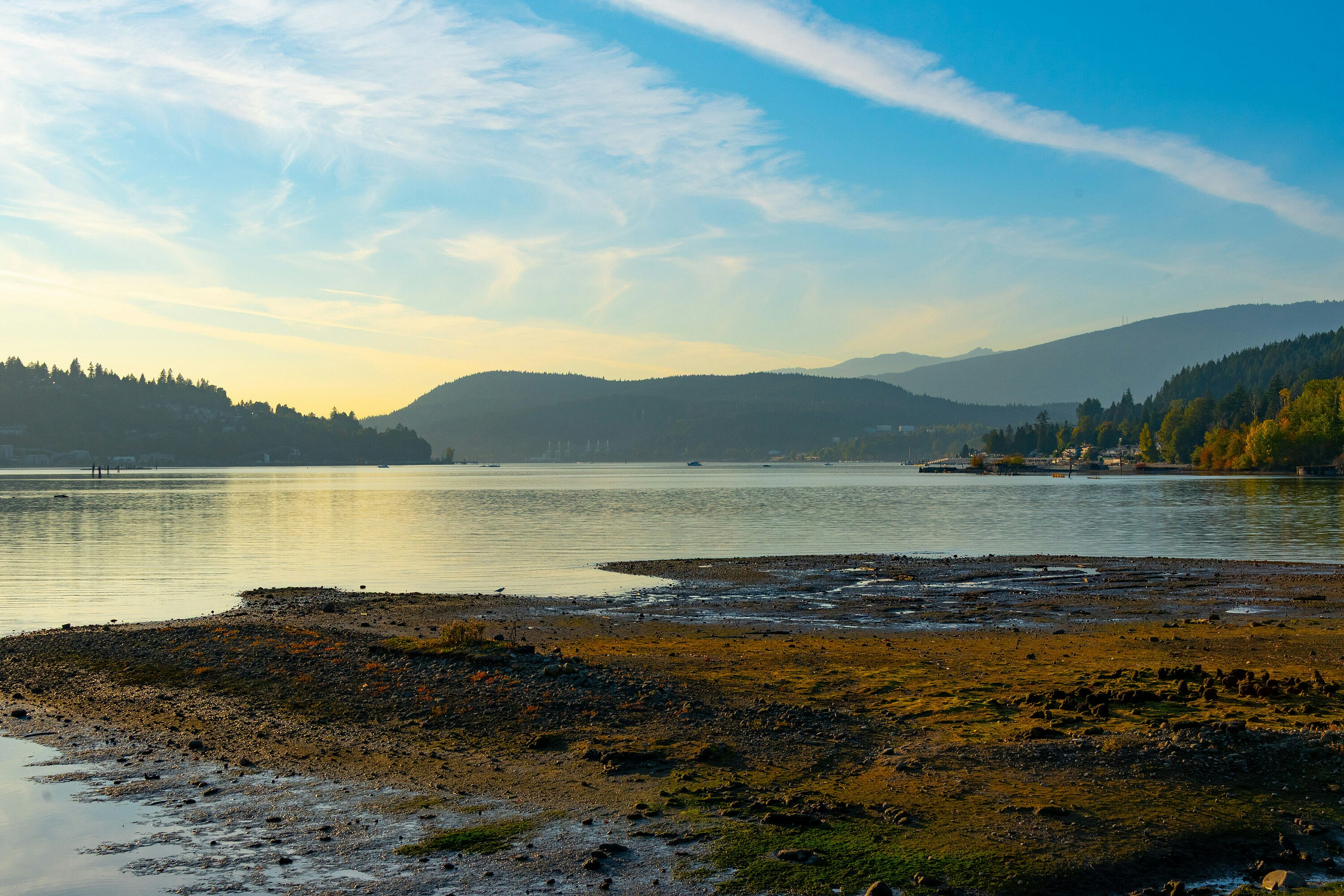 204-300 Klahanie Drive, Port Moody, BC, V3H 5K9 - 77
