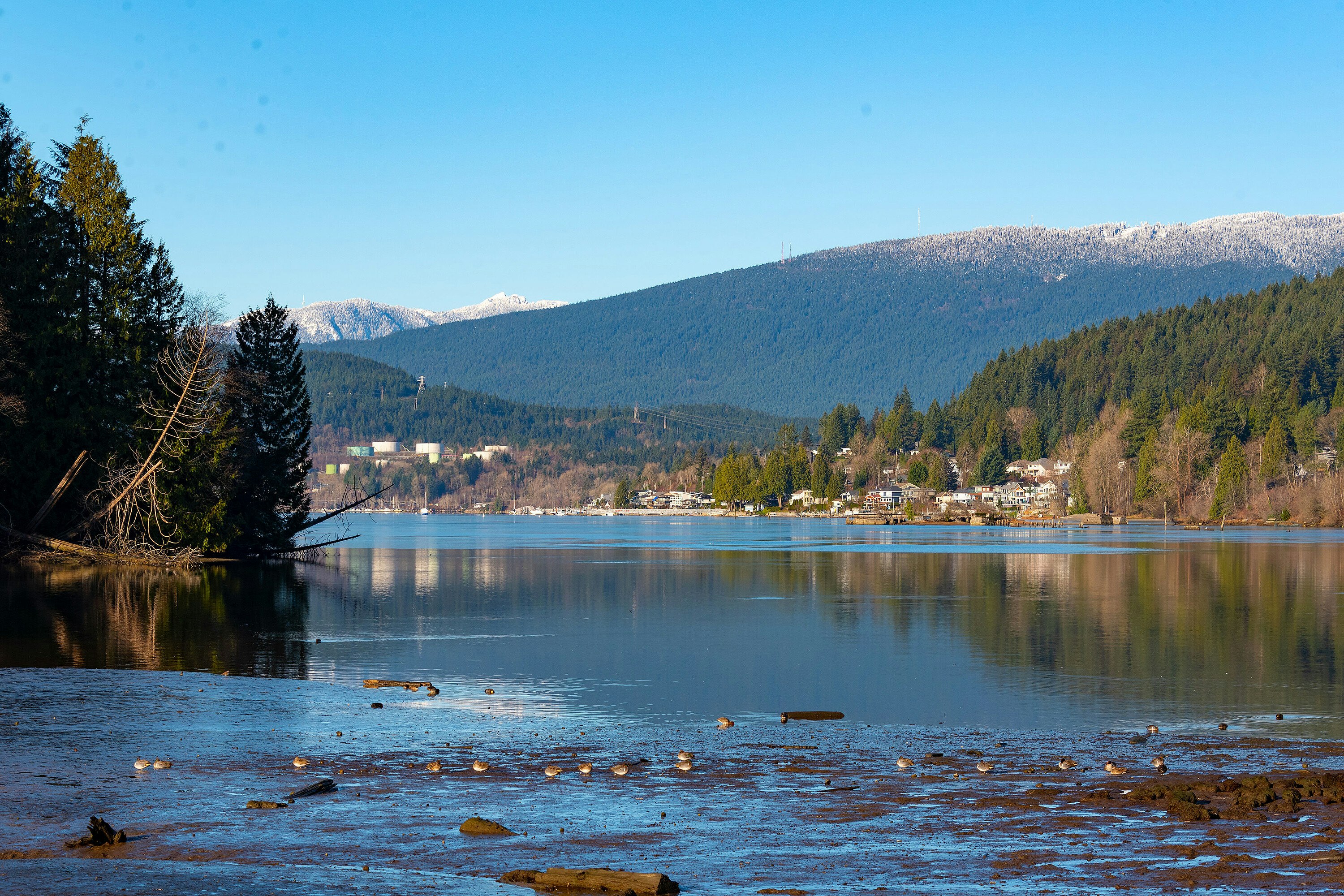 204-300 Klahanie Drive, Port Moody, BC, V3H 5K9 - 42