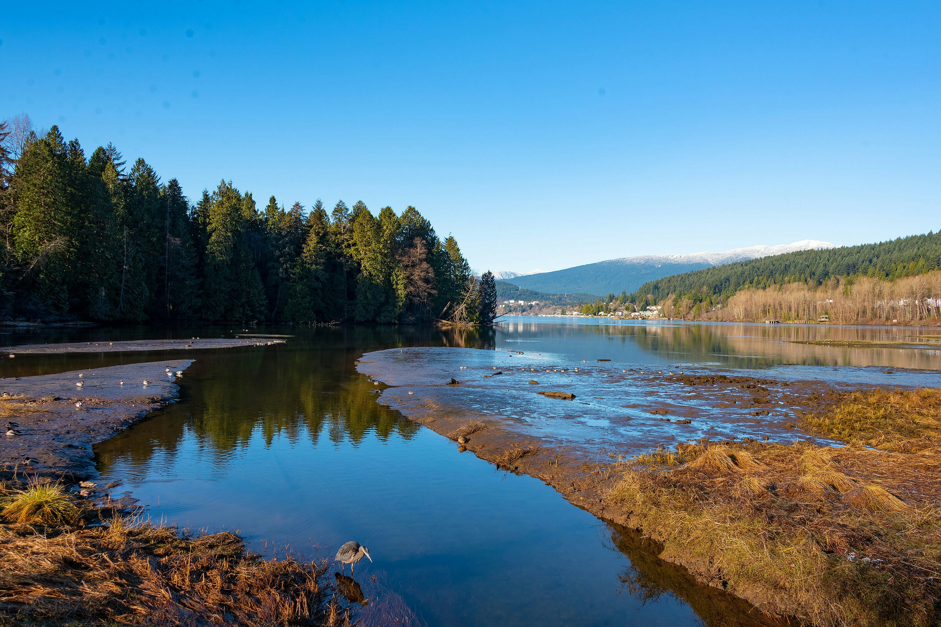 204-300 Klahanie Drive, Port Moody, BC, V3H 5K9 - 40