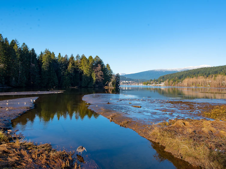 204-300 Klahanie Drive, Port Moody, BC, V3H 5K9 - 40