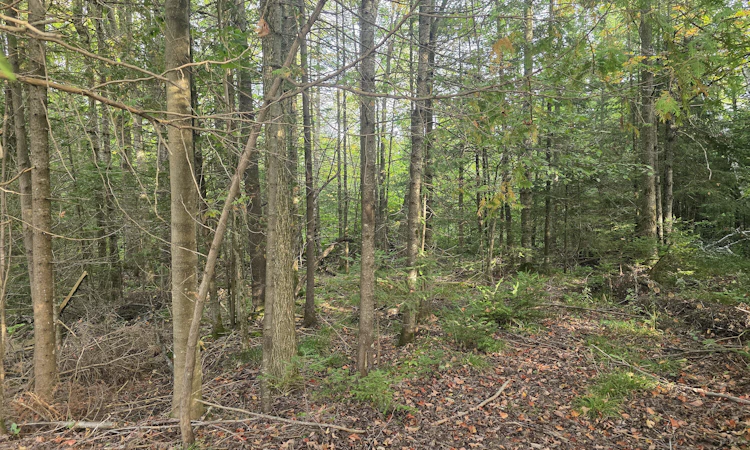 B-349749 4th Concession