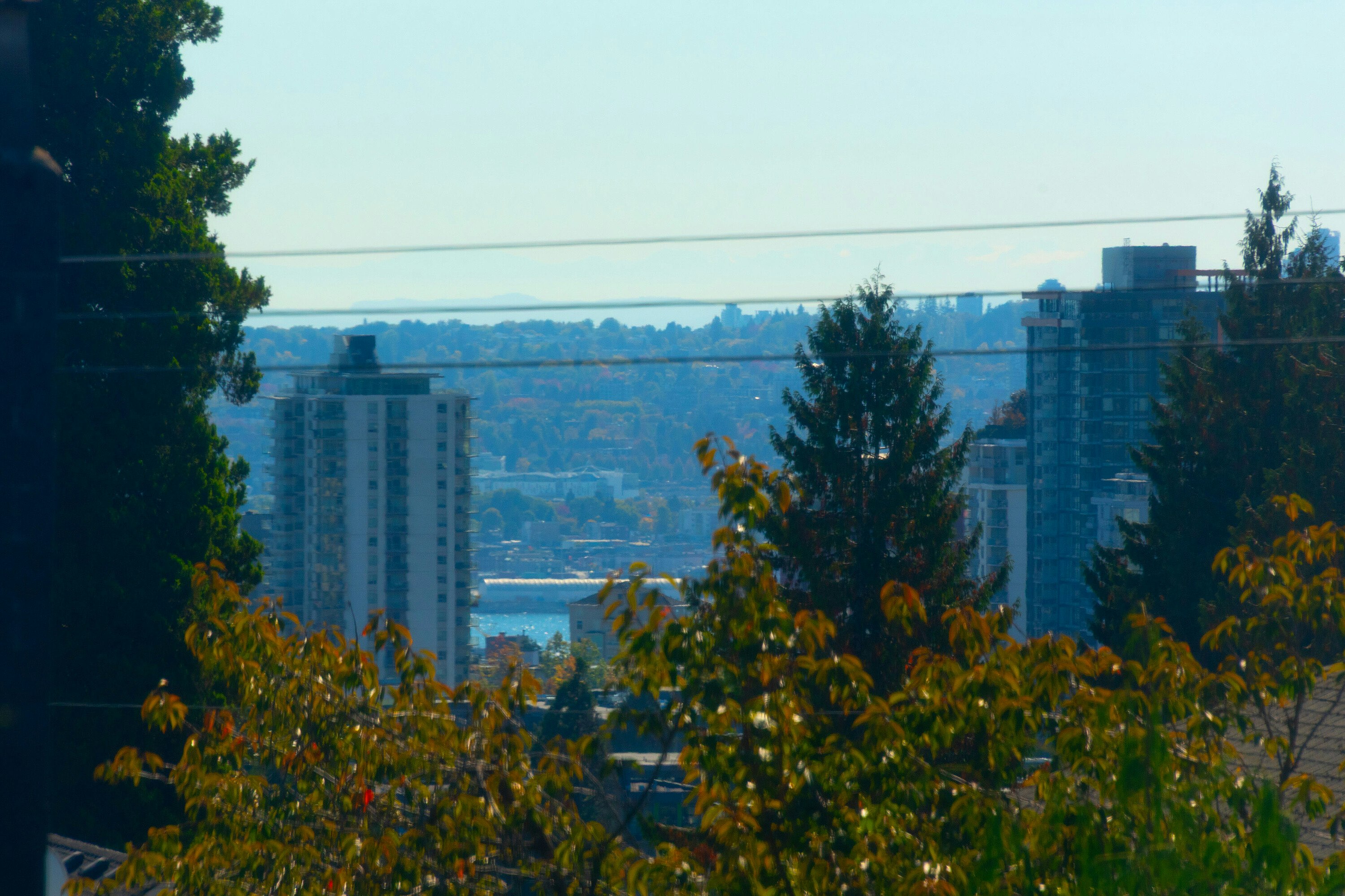 219 E 29th Street, North Vancouver, BC, V7N 1C8 - 11