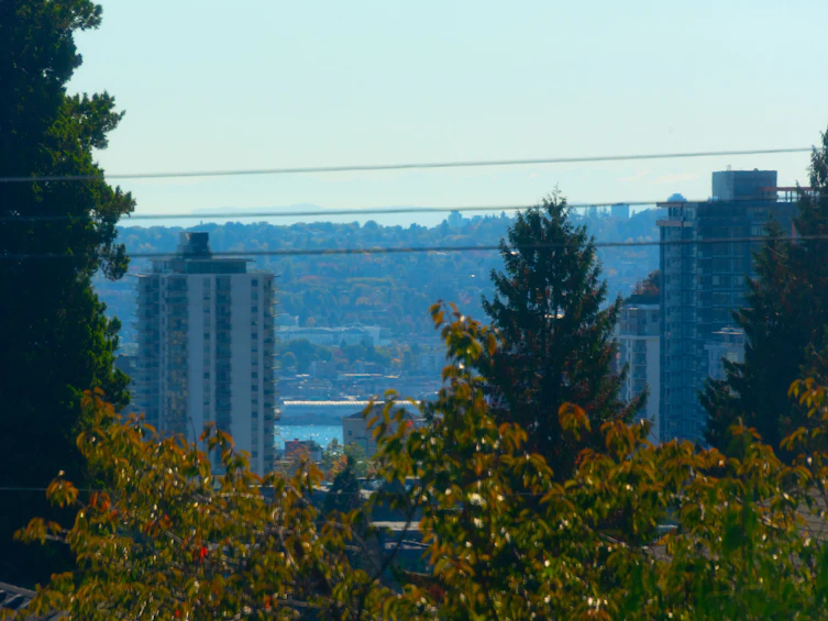219 E 29th Street, North Vancouver, BC, V7N 1C8 - 11