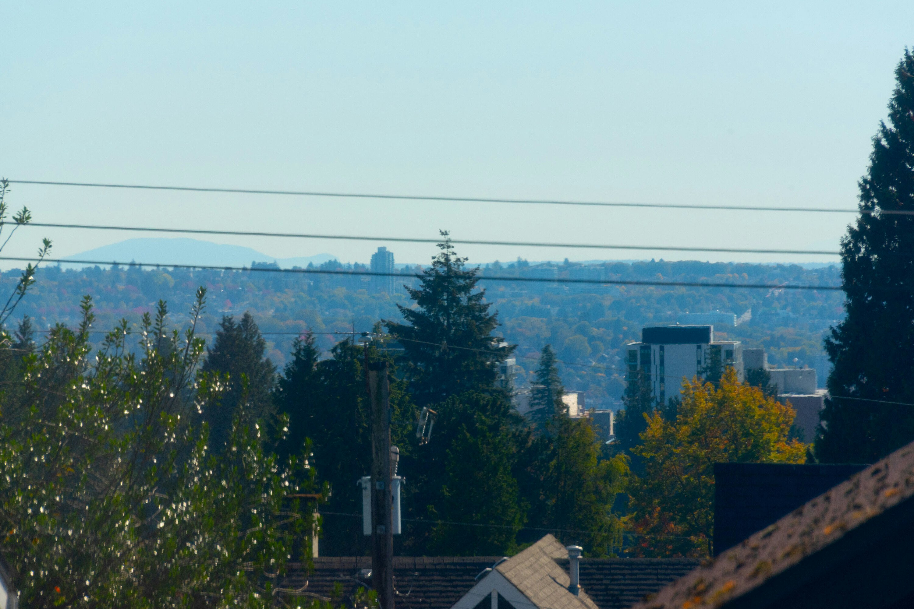 219 E 29th Street, North Vancouver, BC, V7N 1C8 - 12