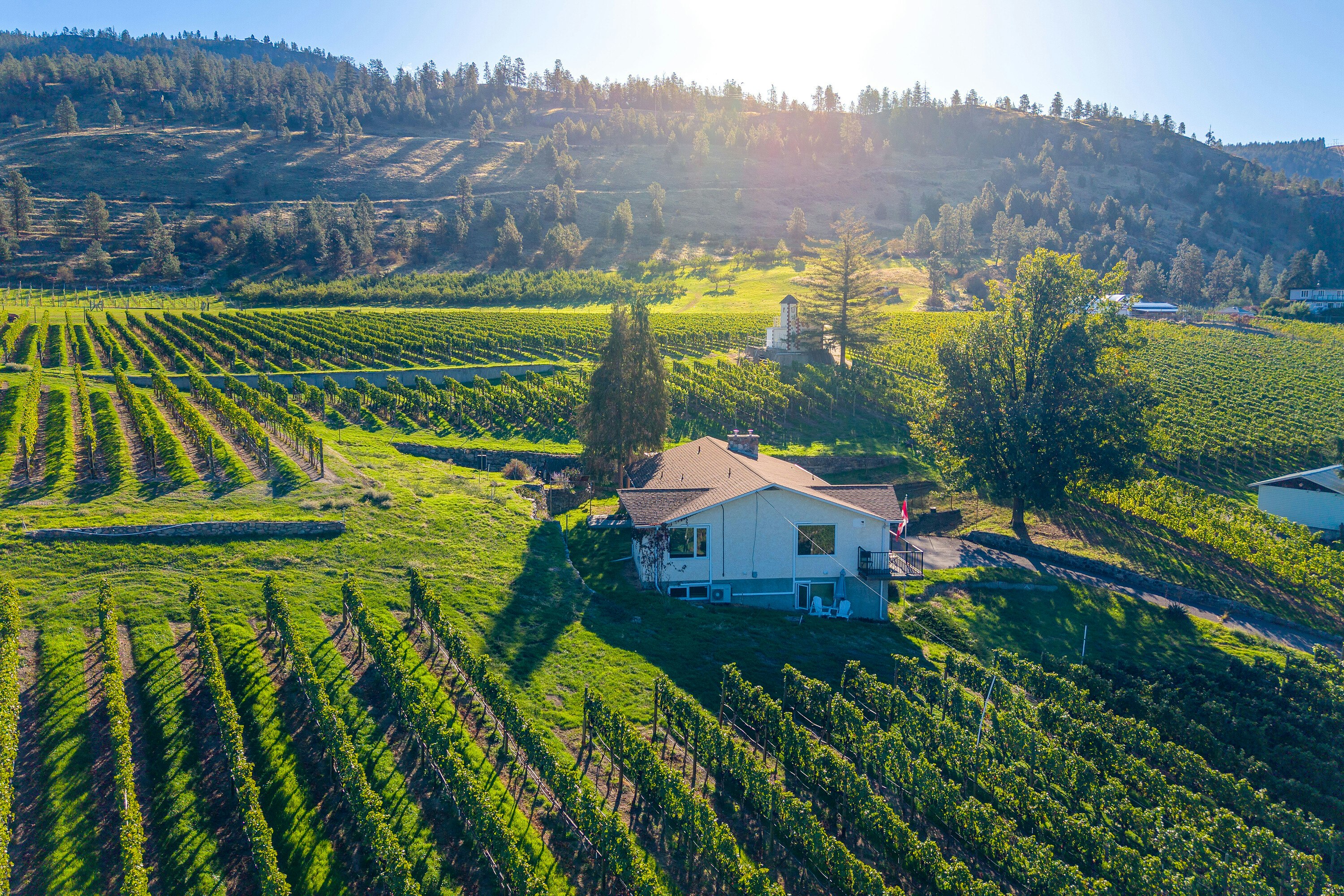 1056 Naramata Road, Penticton, BC, V2A 8V1 - 9