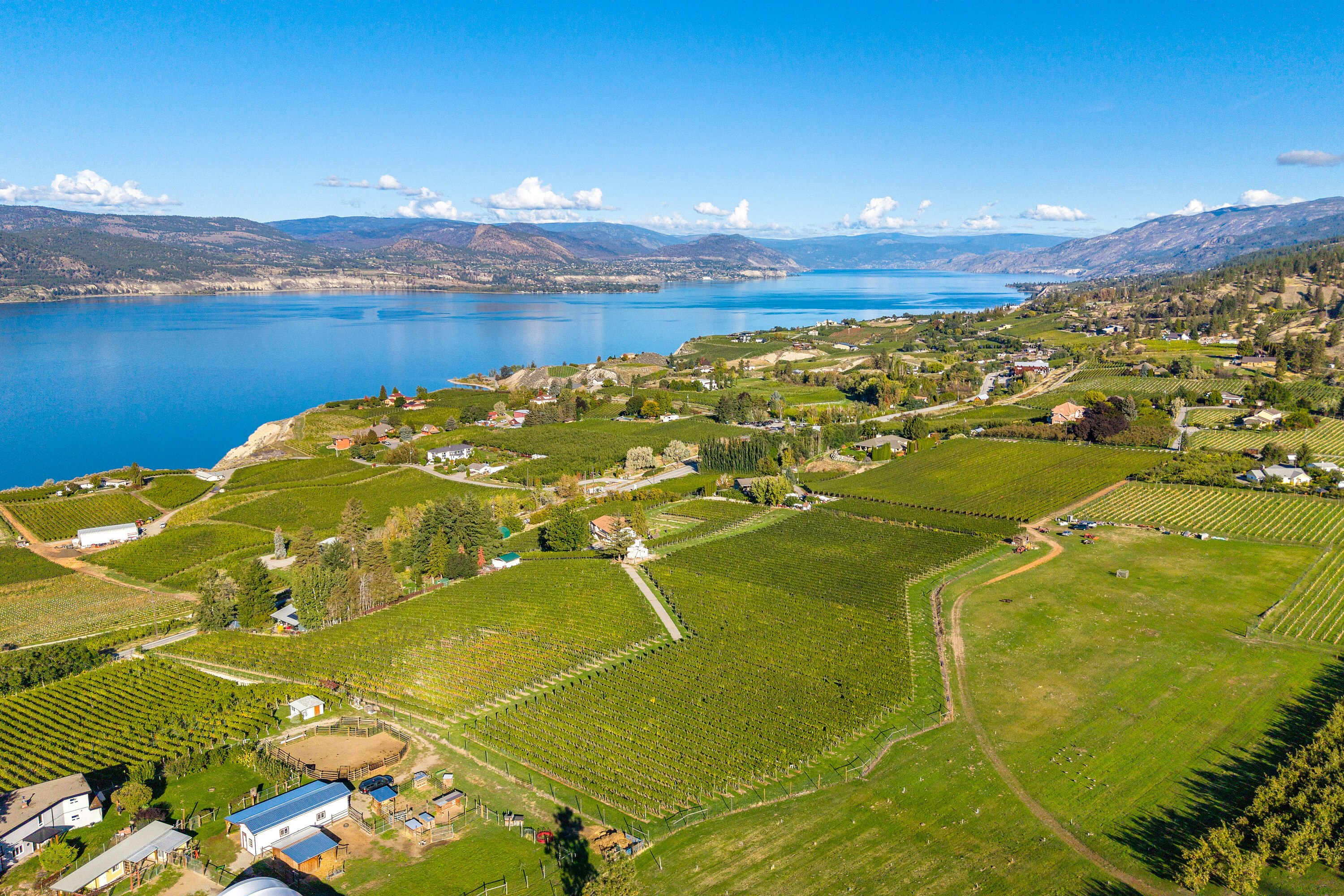 1056 Naramata Road, Penticton, BC, V2A 8V1 - 6