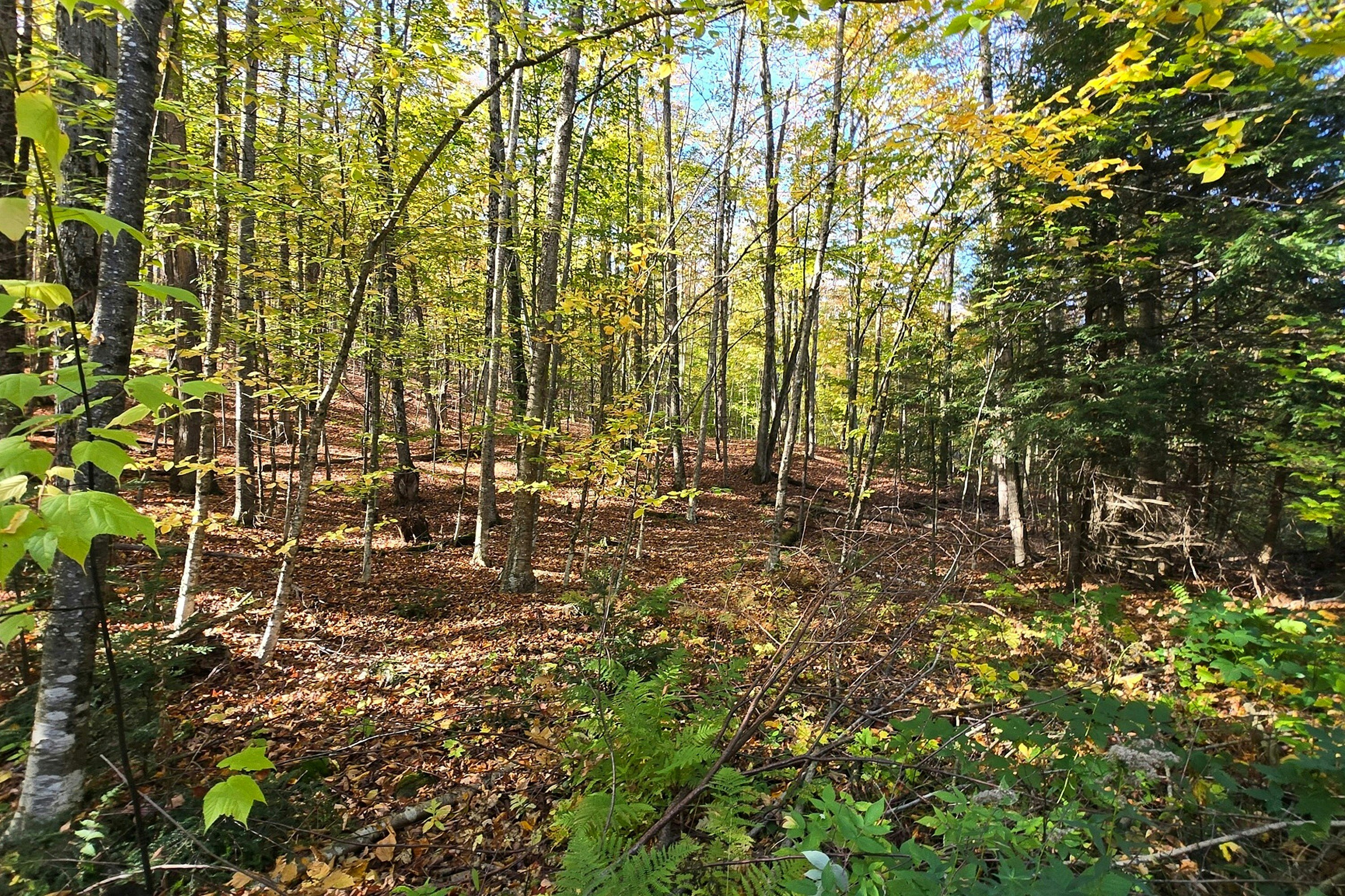 Lot-0 17 Mink Road, Dysart et al, ON, K0M 1S0