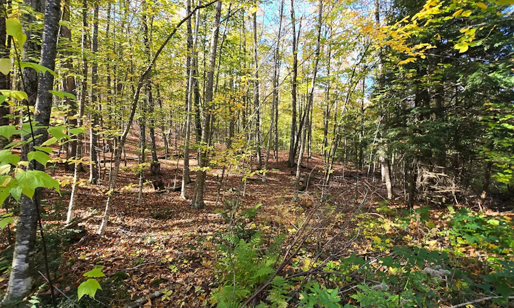 Lot-0 17 Mink Road