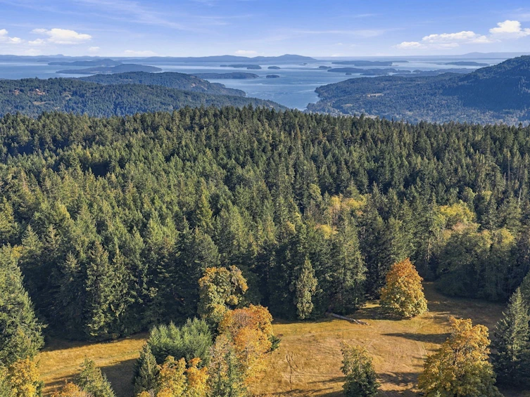 377 Seymour Heights, Salt Spring Island, BC, V8K 2B6 - 64