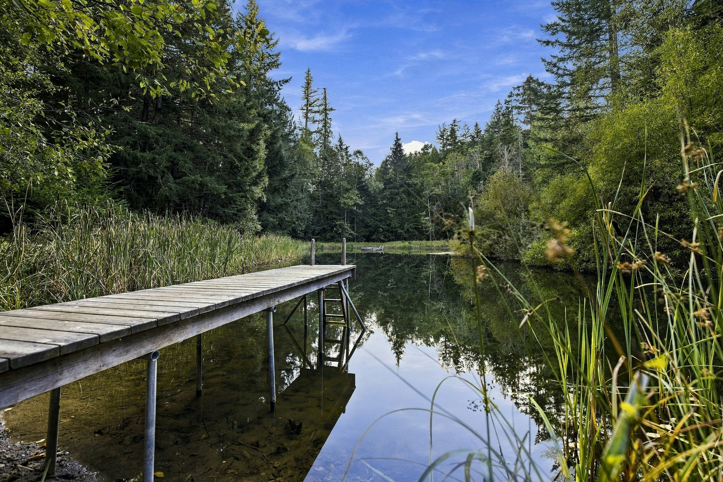377 Seymour Heights, Salt Spring Island, BC, V8K 2B6 - 47