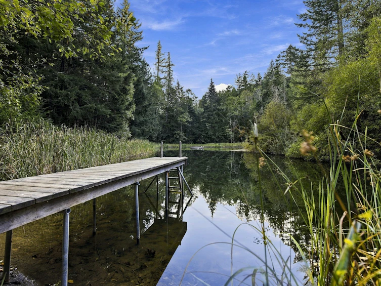 377 Seymour Heights, Salt Spring Island, BC, V8K 2B6 - 47